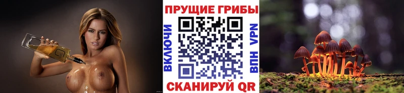 Галлюциногенные грибы MAGIC MUSHROOMS  Купить где  Полярный 